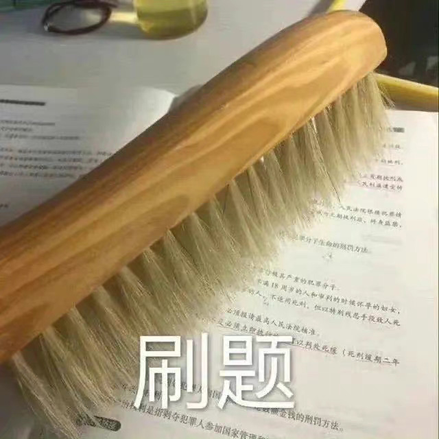 刷题(拿刷子刷试卷)