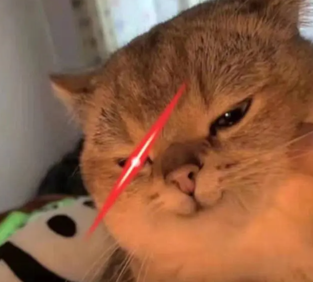 猫咪-猥琐笑+红眼特效