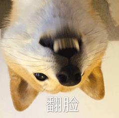 翻脸—狗子头倒过来