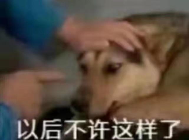 用手指着狗子:以后不许这样了