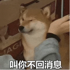 扇狗子脸(魔性摇头)搞笑动图