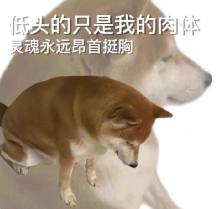狗子:低头的只是我的肉体,灵魂永远昂首挺胸!