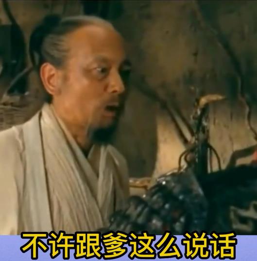 不许跟爹这么说话!(葛优扇巴掌gif)