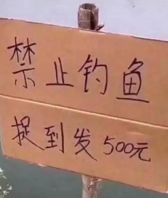 禁止钓鱼 捉到发500元