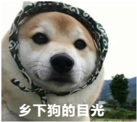 乡下狗的目光-乡下人羡慕的眼神