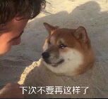 下次不要再这样了,狗子被埋土里