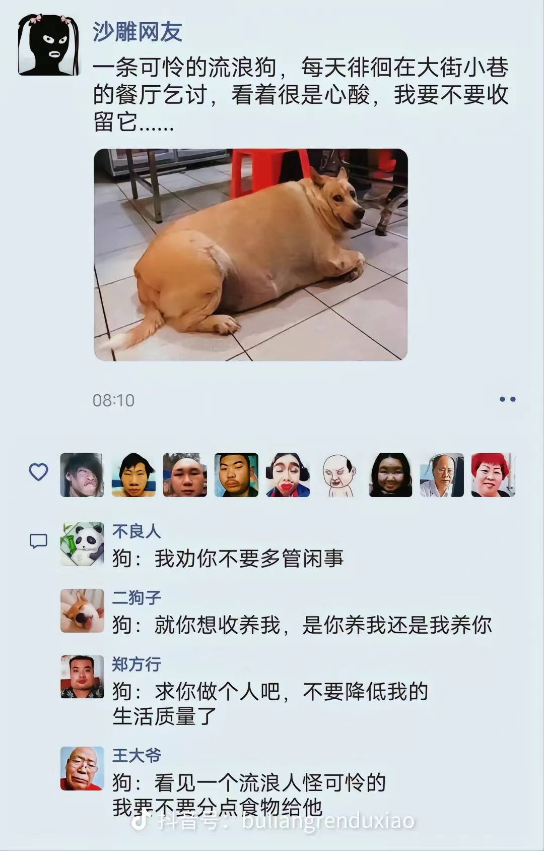 一条可怜的流浪狗! 狗子:我劝你不要多管闲事