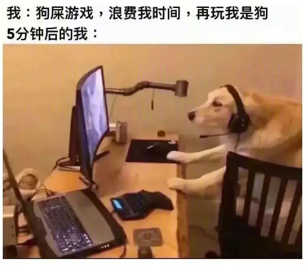 狗屎游戏,浪费时间,再玩我就是狗!