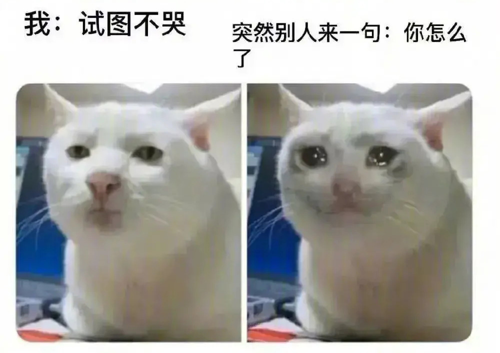 我:试图不哭 | 突然别人来一句:你怎么了