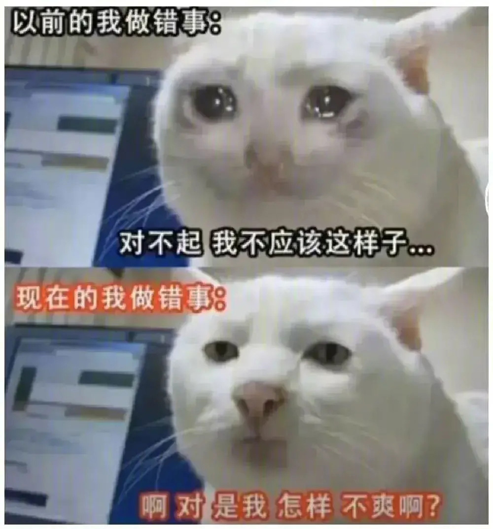 猫咪:以前的我做错事VS现在的我做错事!
