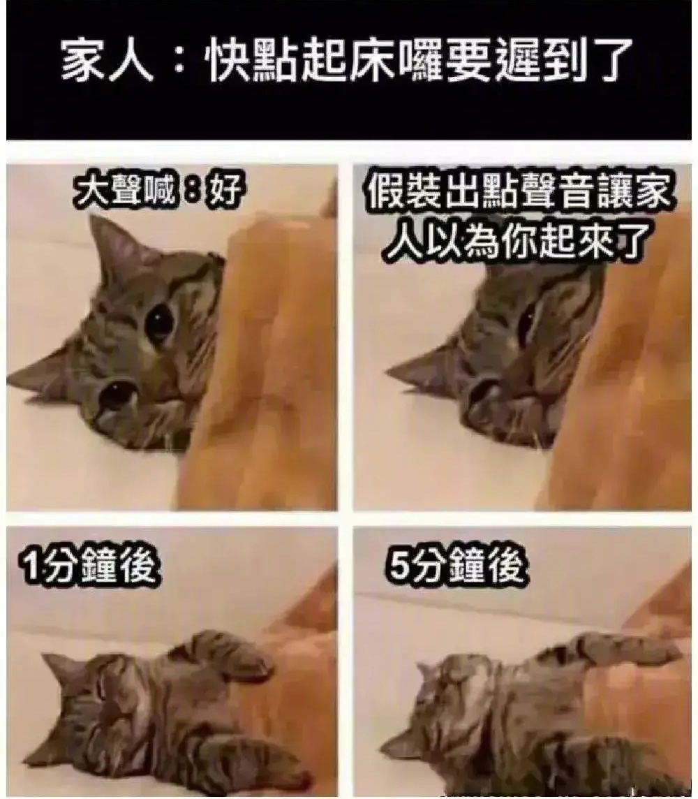 快迟到了,快起床!5分钟后……