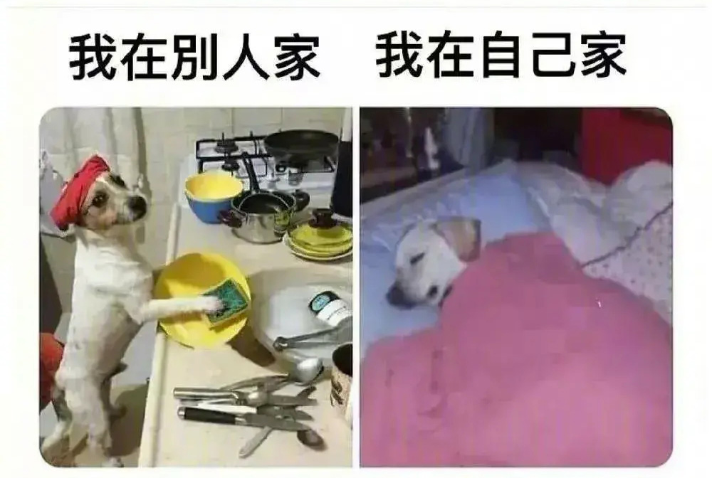 在别人家的狗子VS在自己家的狗子