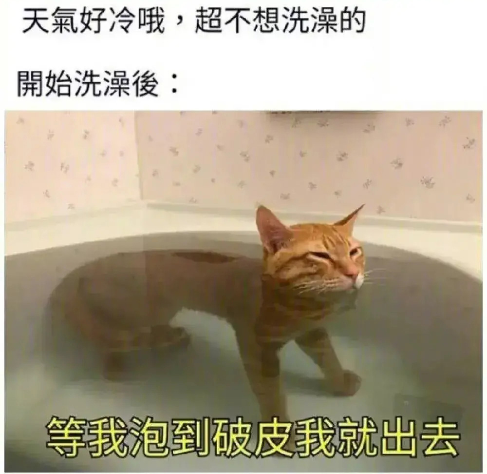 洗澡前VS洗澡后