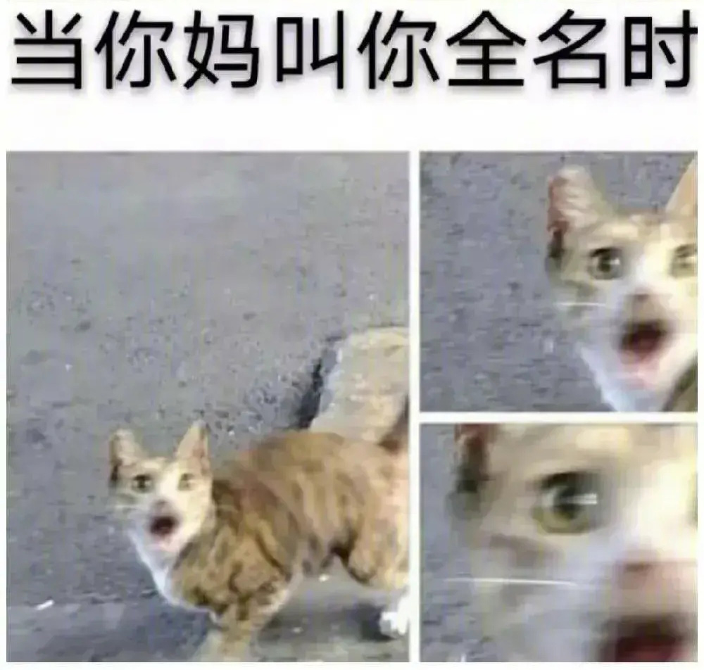 当你妈叫你全名时……