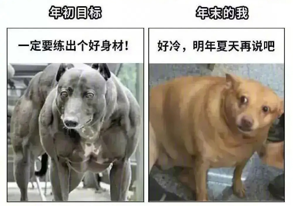 年初目标VS年末的我—一定要练出个好身材