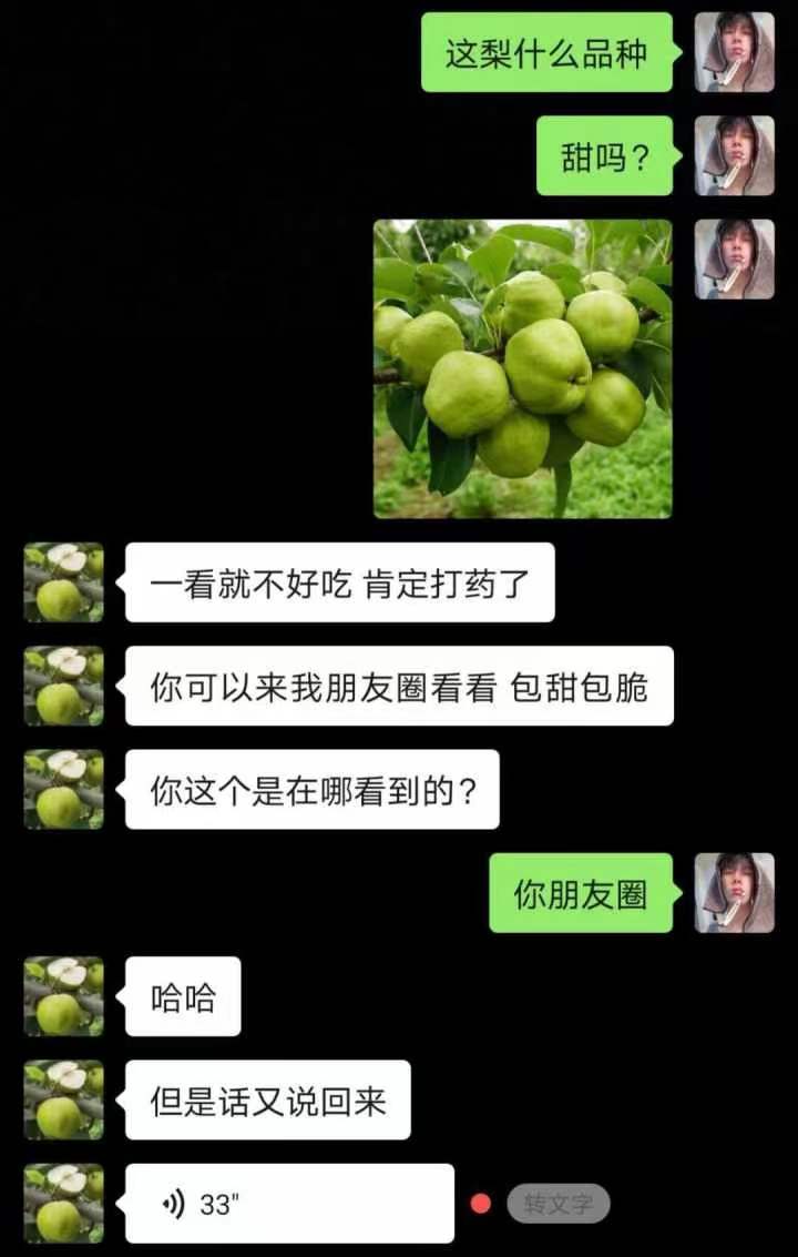 老板:(这梨什么品种)有时候话不能说太快……
