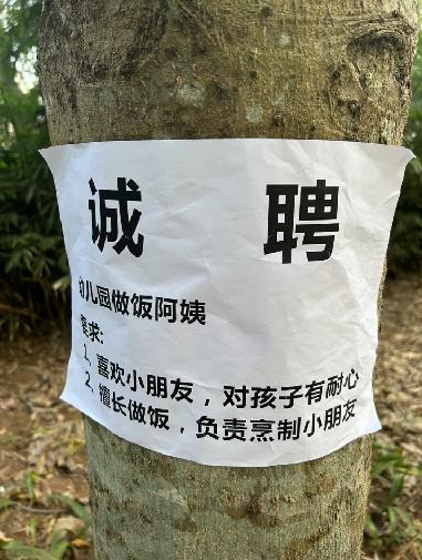 诚聘幼儿园做饭阿姨,工作:烹制小朋友???