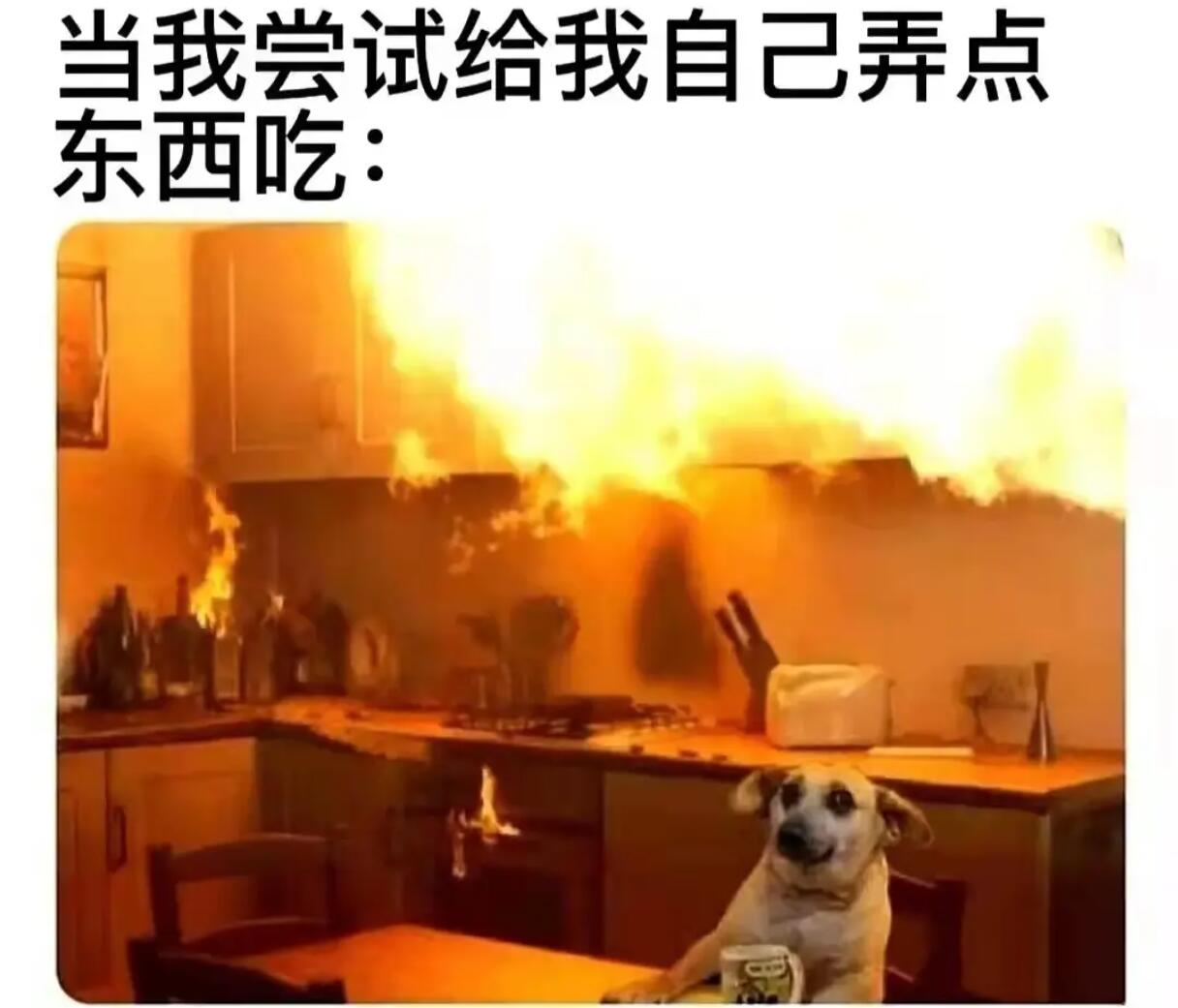 当我尝试给我自己弄点东西吃……
