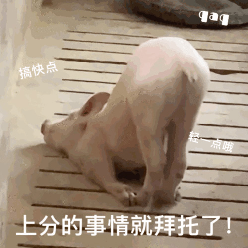 一只猪撅屁股_上分的事情就拜托了~
