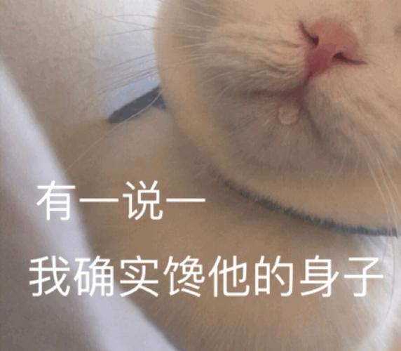 有一说以,我确实馋他的身子_猫咪