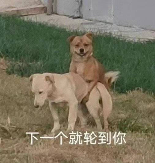 狗子:下一个就轮到你-污污