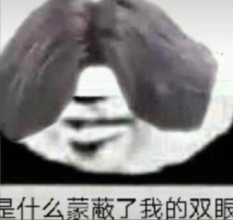 是什么蒙蔽了我的双眼_蔡徐坤小黑子表情包