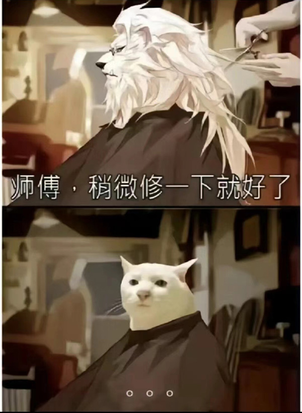 狮子剪完头发变成猫咪_理发前VS理发后