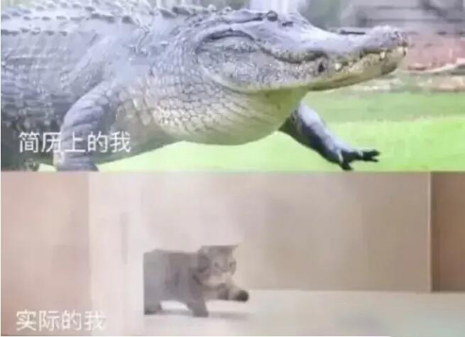 简历上的我VS现实的我_人间真实系列