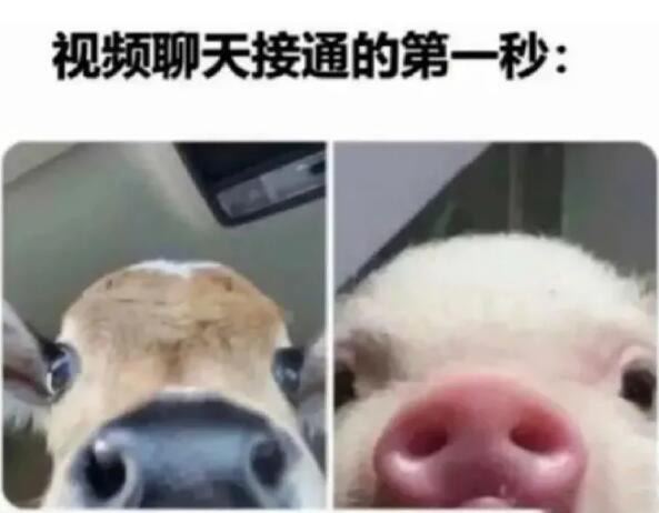 视频聊天接通的第一秒……_人间真实系列