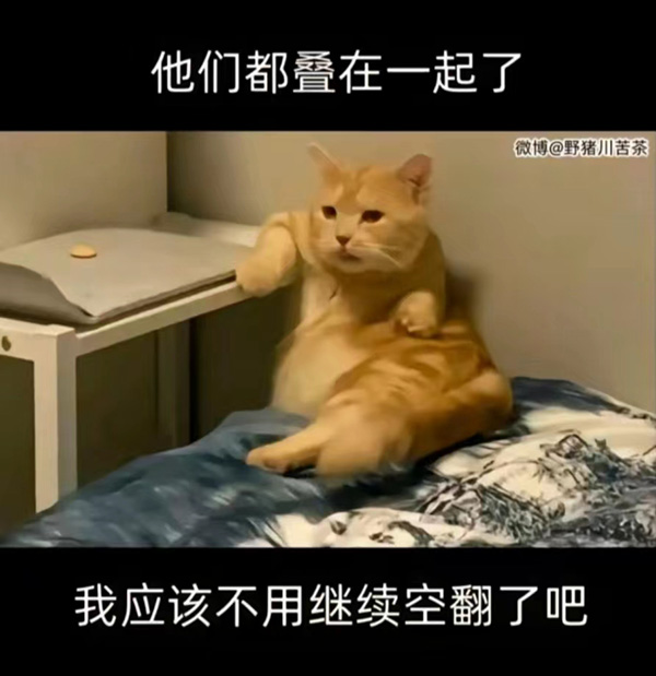 猫咪:他们都叠在一起了,我应该不用空翻了吧