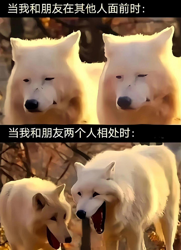 两只狐狸,我和朋友在其他人面前VS独处的时候