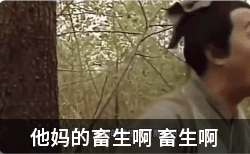 他妈的畜生啊表情包gif_畜生啊