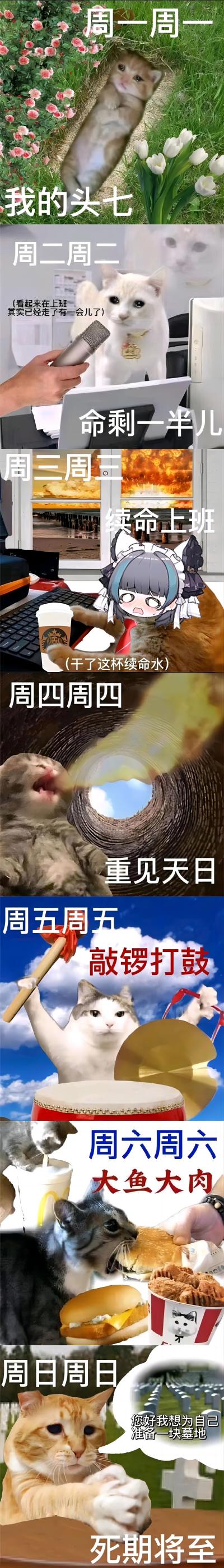 猫咪周一到周日的表情包(打工人版)
