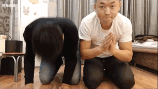 药水哥跪地磕头gif_磕头表情包