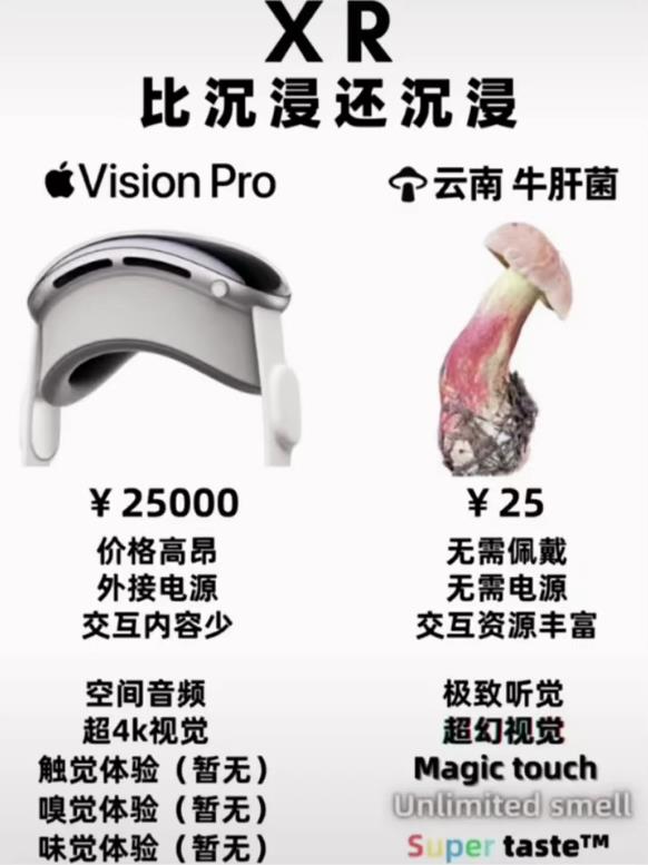 云南牛肝菌vs苹果vision pro:比XR还沉浸的超幻体验
