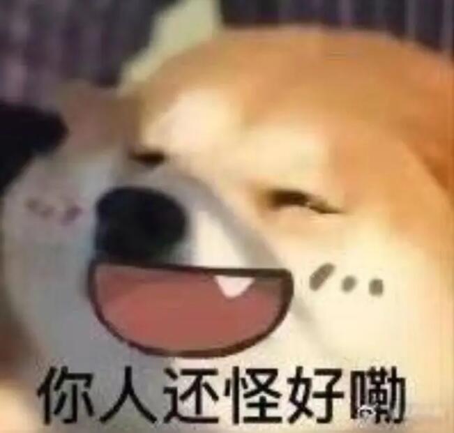 狗子:你人还怪好勒!