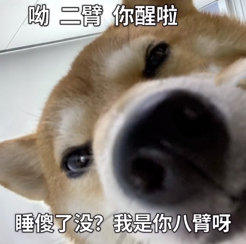 狗子:哟 二臂睡醒了 我是八臂啊