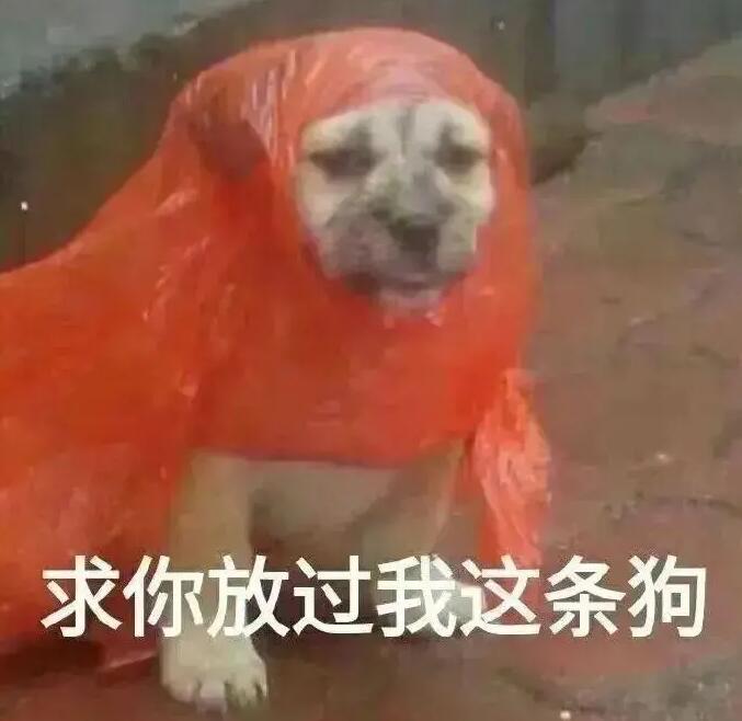 狗子:求求你放过我这条狗吧_无语