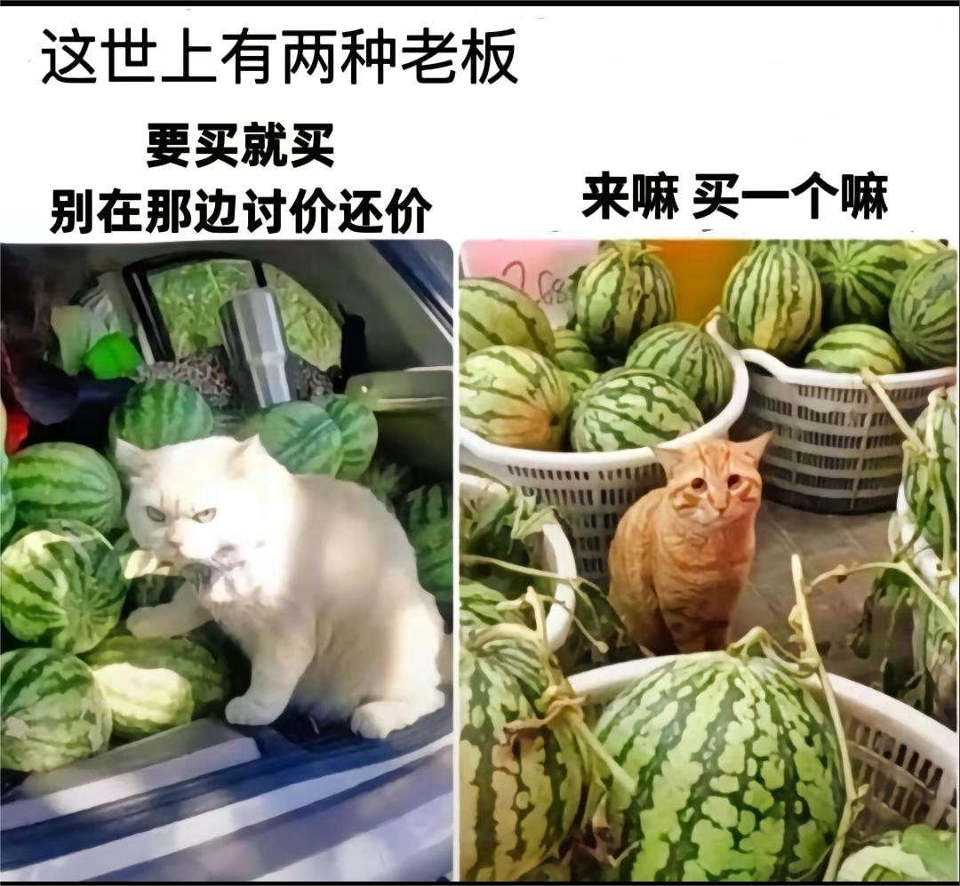 卖东西的两种老板(猫咪卖瓜版)