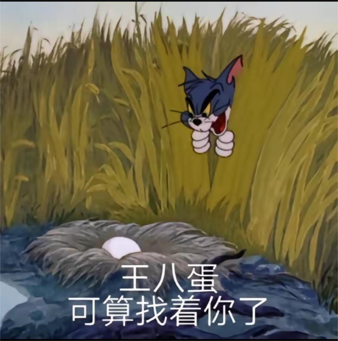 猫和老鼠:王八蛋,可算找到你了