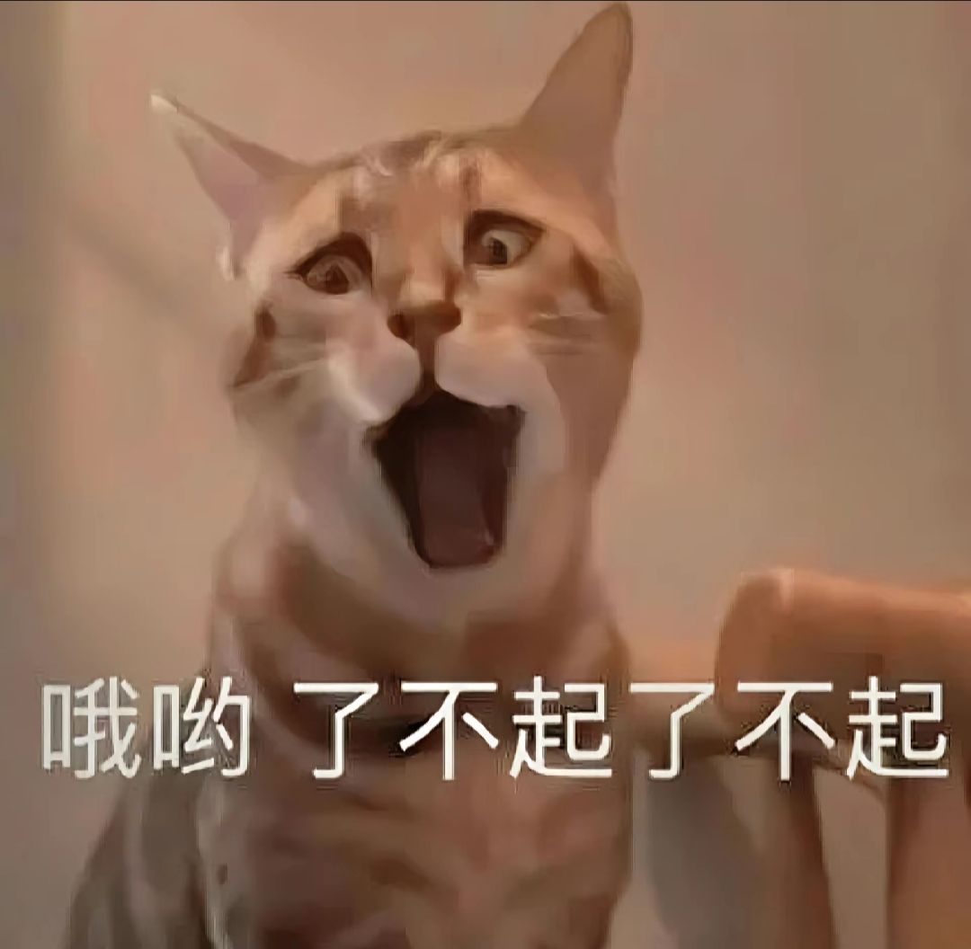 猫咪:哦呦,了不起 了不起(嫉妒)