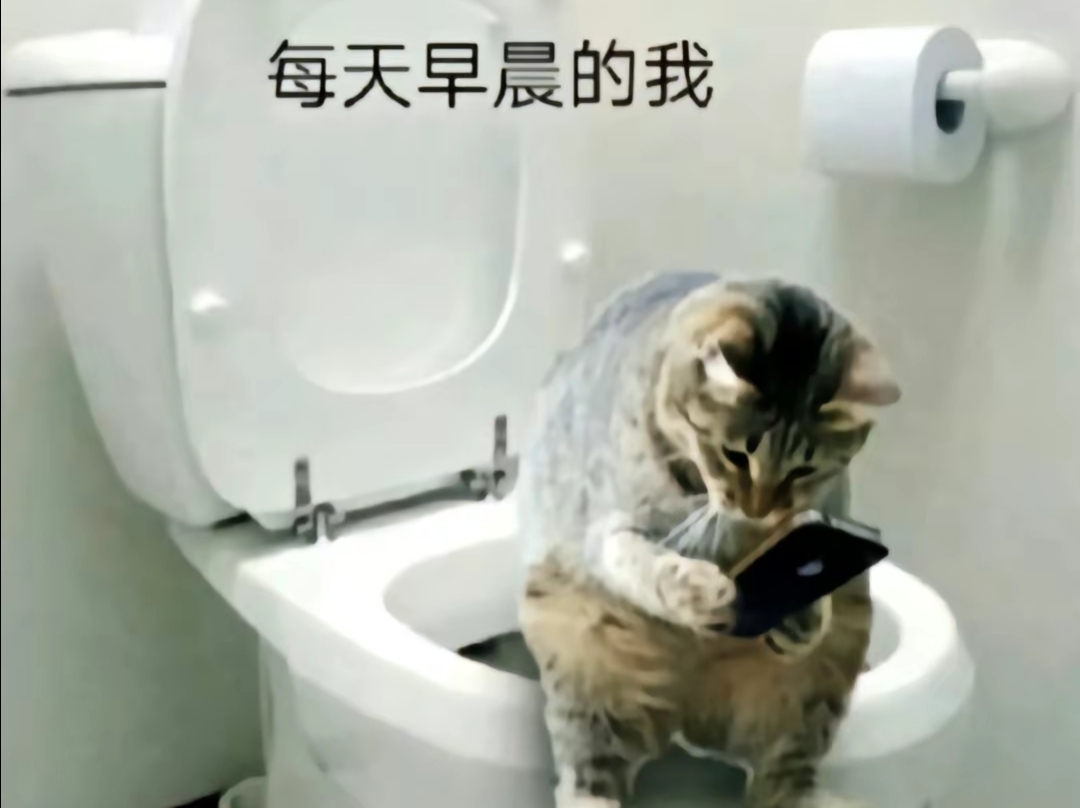 每天早晨的我 ,猫咪蹲在马桶上玩手机
