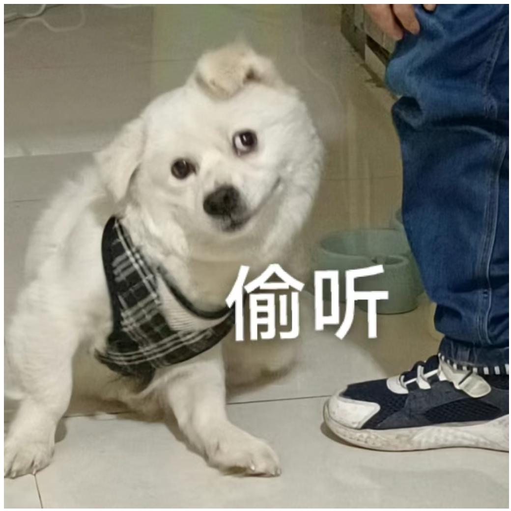 偷听表情包_狗子歪头偷听!