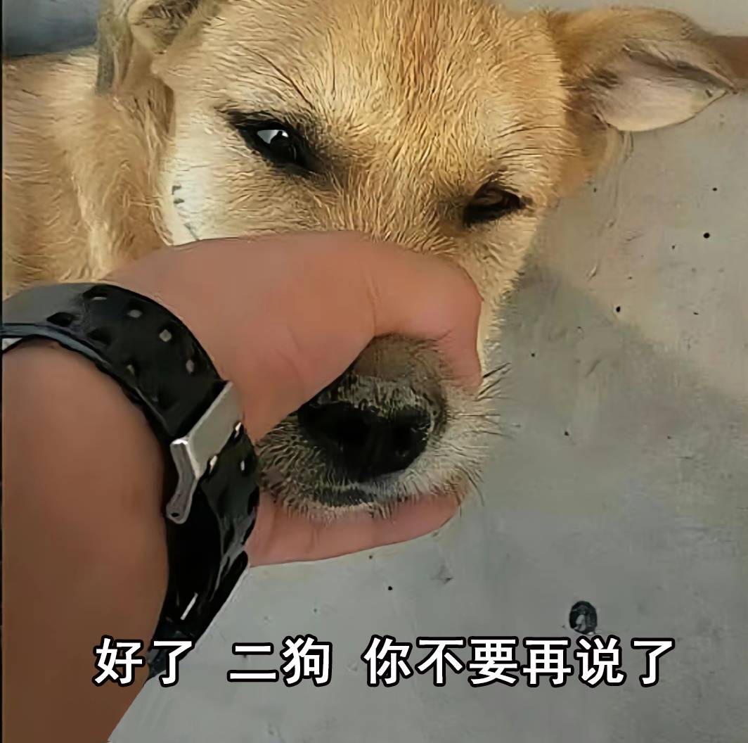 好了 二狗 你不要再说了表情包_握住狗嘴
