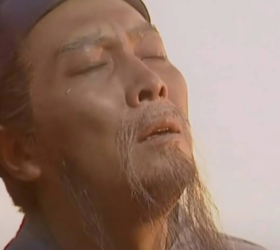 就是这个感觉表情包_诸葛亮仰面哭泣