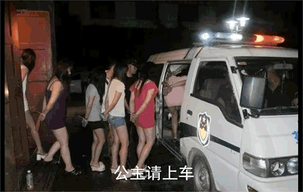 公主请上车(被抓上警车版)表情包