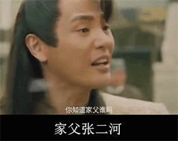 家父张二河动图表情包