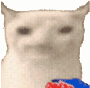 吃零食猫咪gif表情包_猫咪吃薯片