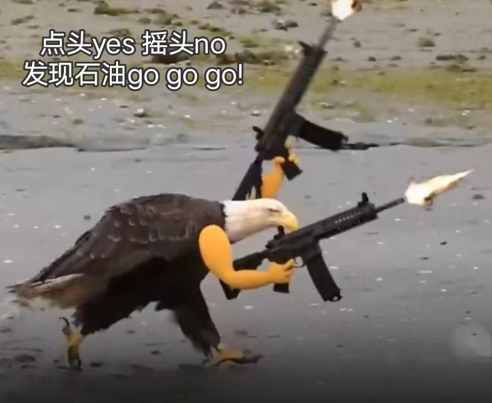 (白头海雕)鹰拿枪表情包_发现石油go go go是什么梗?