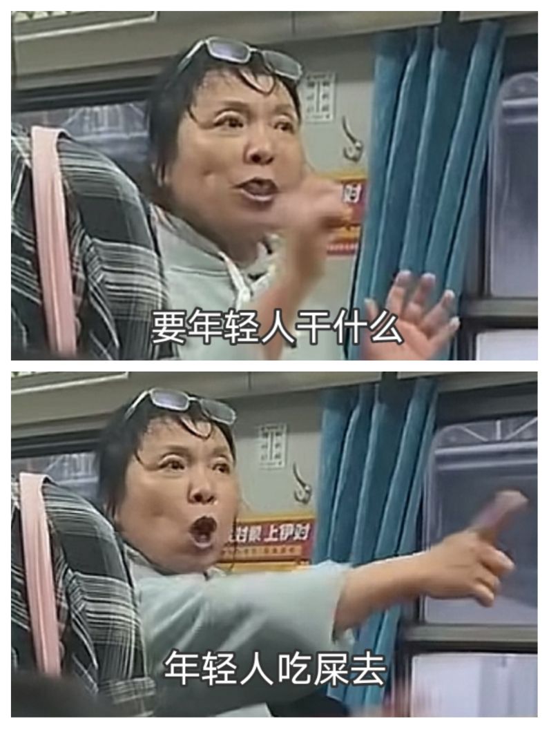 要年轻人干什么?年轻人吃屎去!高铁占座大妈表情包